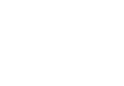 Champion Logo White