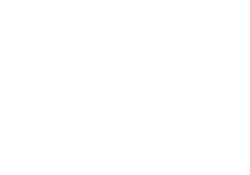 TXDOT Logo White